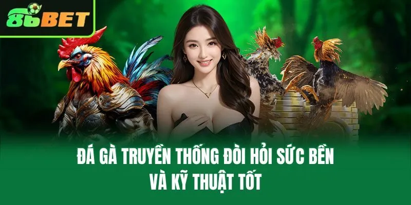 Đá gà truyền thống đòi hỏi sức bền và kỹ thuật tốt