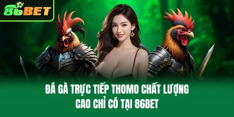 Đá Gà Trực Tiếp Thomo Chất Lượng Cao Chỉ Có Tại 86bet